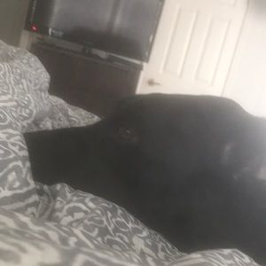 Meet your Posher, Jansen